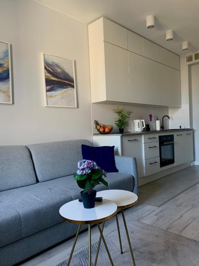 W Centrum Miasta Apartment Lodz (Lodz)