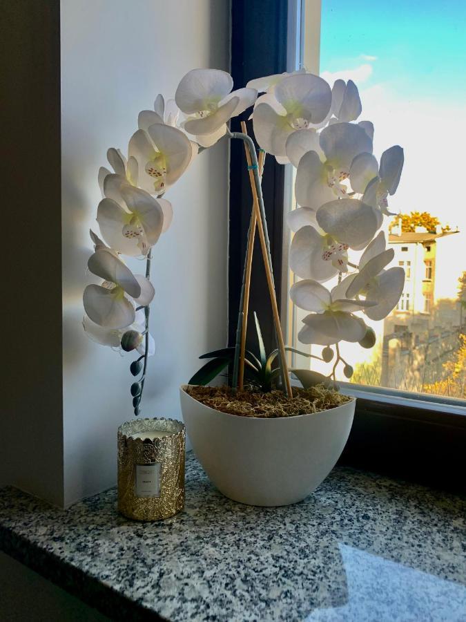 W Centrum Miasta Apartment