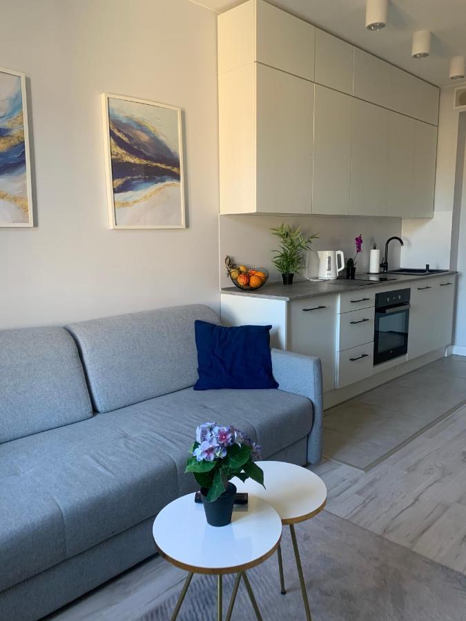 W Centrum Miasta Apartment Lodz (Lodz)